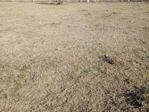 Terreno en Venta de 968,0 m2