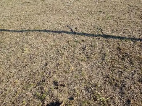 Terreno en Venta de 968,0 m2