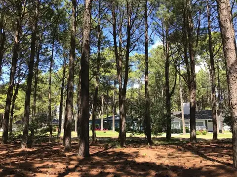 Oficina en Venta en Pinamar, USD 130.000
