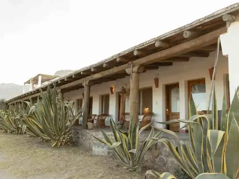 Cafayate. La Banda de Arriba. Lote 100