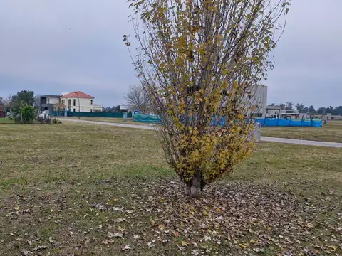 Terreno en Venta en Longchamps, Partido de Almirante Brown