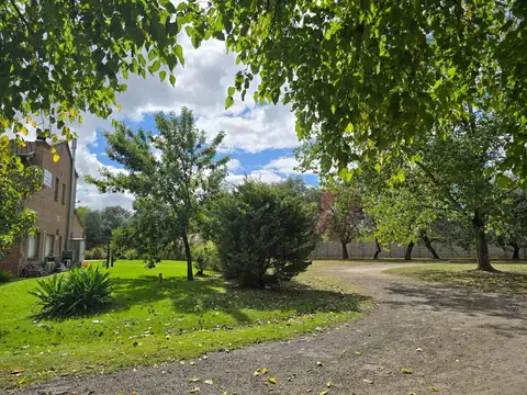 Terreno en Venta 40  mts Fondo