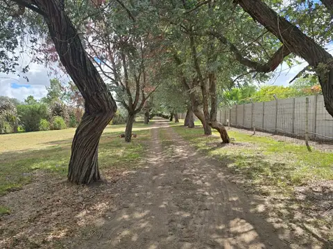 Terreno en Venta en Casuarinas del Pilar, Zelaya