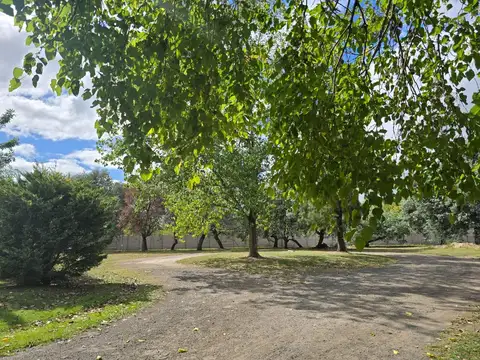 Terreno en Venta en Casuarinas del Pilar, Zelaya