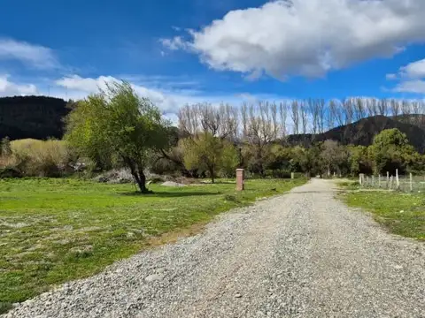 camino viejo