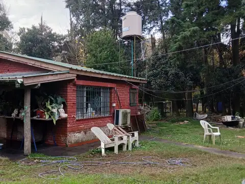 El Jilguero