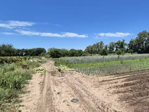 Fracción de campo 68.800 M2 Escobar Ideal Loteo