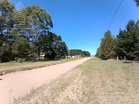 |18 HECTAREAS EN EL PINAR| |LA LUCILA|