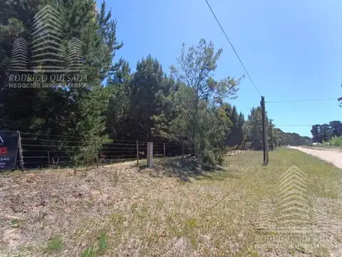 |18 HECTAREAS EN EL PINAR| |LA LUCILA|
