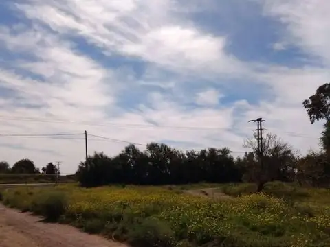 Terreno / Lote en venta de 262m2 ubicado en Nueva Belgrano