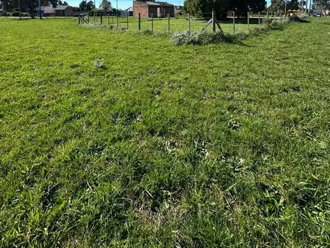 El cardenal y Las Garzas