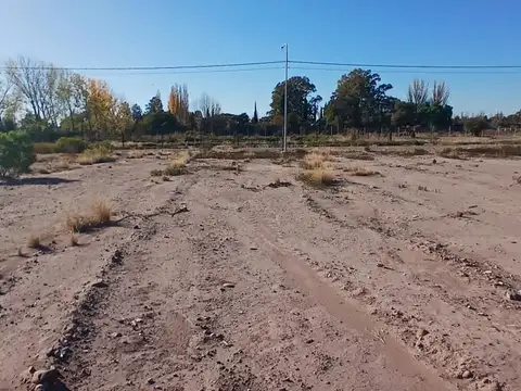 Azcuenaga