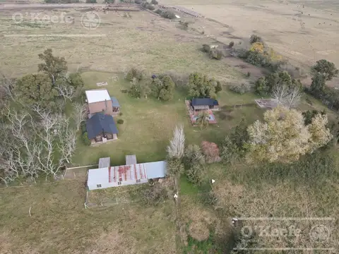 340 has en Venta en Coronel Brandsen - Sobre Autovía 2 - Campo Mixto -  Potencial Desarrollo Inmobiliario