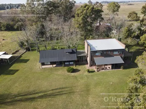 340 has en Venta en Coronel Brandsen - Sobre Autovía 2 - Campo Mixto -  Potencial Desarrollo Inmobiliario