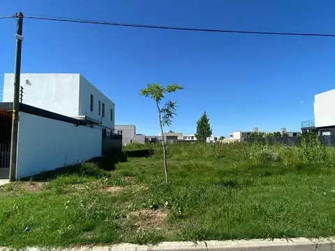 Terreno en Venta 35  mts Fondo