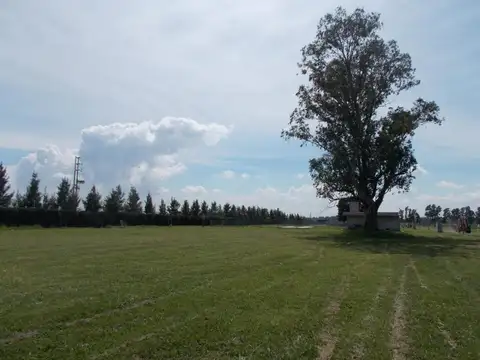 Barrio Belleville Al 2500-belleville