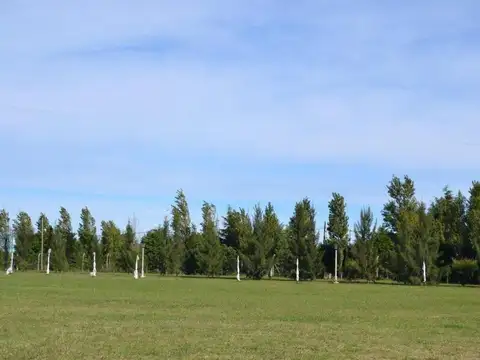 Barrio Belleville Al 2500-belleville