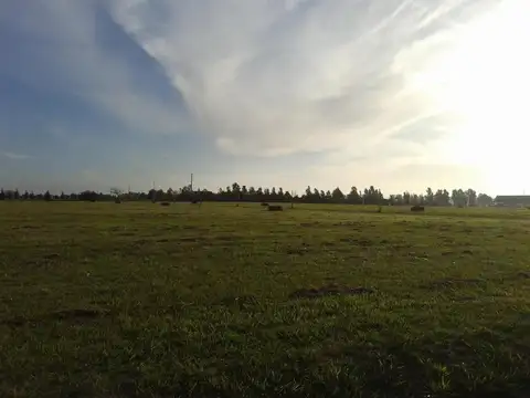Terreno en Venta de 800,0 m2