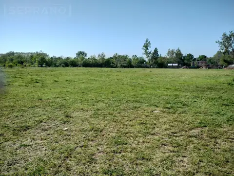 Importante Campo en Venta  146ha  junto a Colonia de Chacra