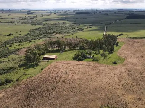 Campo - Venta - Uruguay, JOSE IGNACIO - RUTA 9 Km.156 camino lindero a Madellin km.156