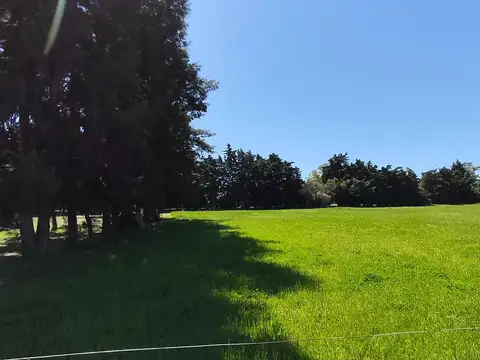 Terreno en Arroyo Seco a mts del Río