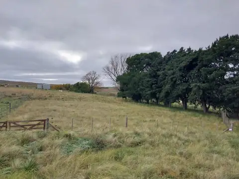 LOTE  EN VENTA  SIERRA DE LA VENTANA Cam. Piscicultura, Provincia de Buenos Aires, 100