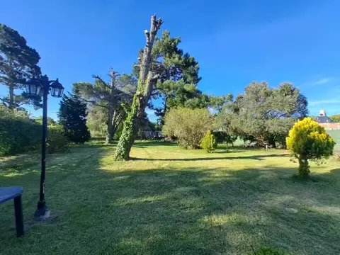 C. 73 750, San Clemente Del Tuyu, San Clemente, Bs.As. Costa Atlántica 700