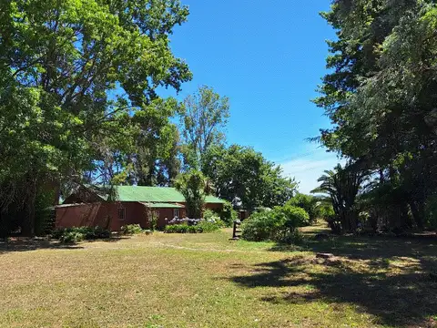 CAMINO AUXILIAR ATUCHA 100