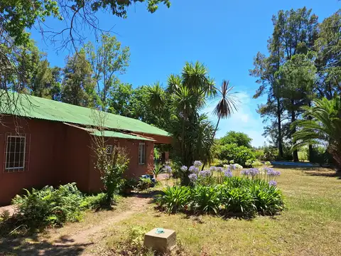 Campo en Venta de 3,52  ha