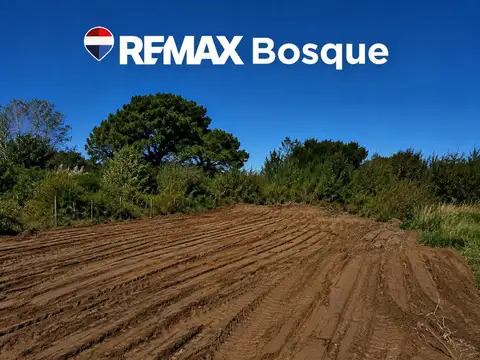 LOTE EN VENTA DE 500m²  - NUEVA ATLANTIS