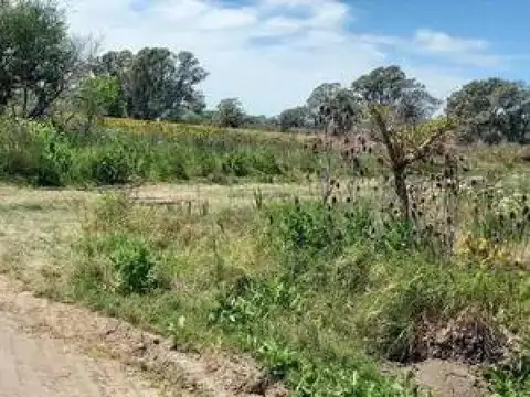 Tobas e/ Coliqueo y Ancatruz