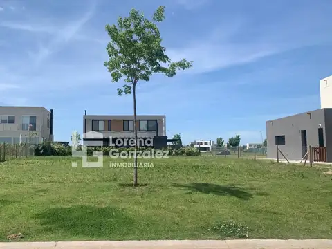 Av. De Los Lagos