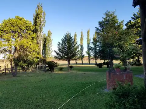 Campo en venta de 100 hectáreas en Concepción del Uruguay