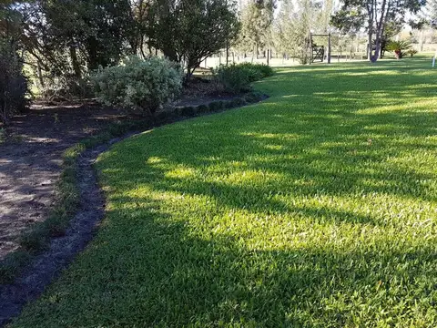 Campo en Venta Ganadero