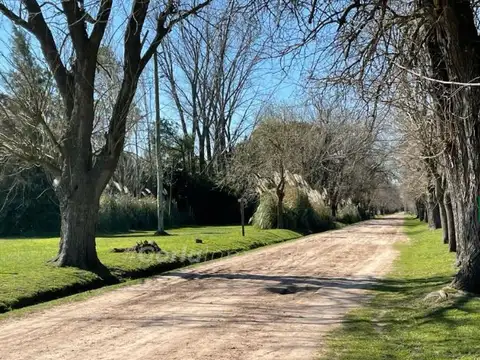 Lote  - Lobos Country Rural -