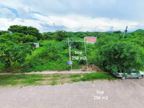 Terreno en Venta 25  mts Fondo