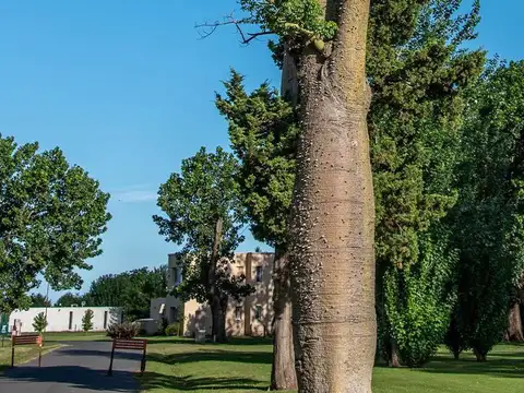 Terreno en Venta en Ibarlucea, USD 120.000