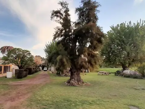 Venta Chacra mas de once Hectáreas Mercedes