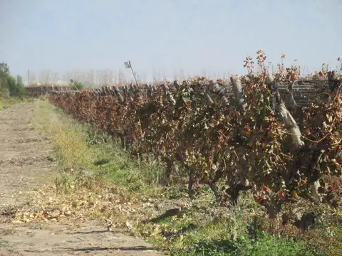 R.B. de Zapata