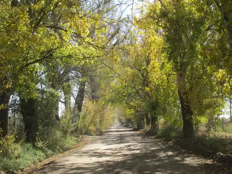 R.B. de Zapata