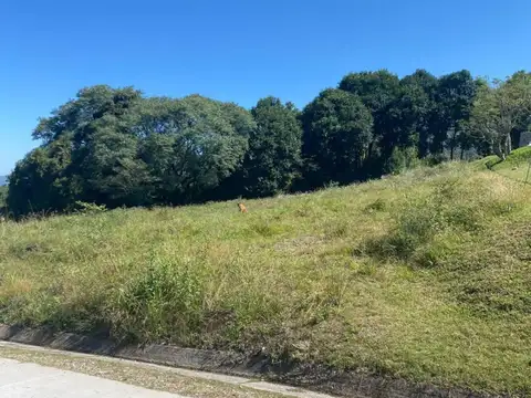 Club de Campo Los Zarzos, Lote 44, San Lorenzo