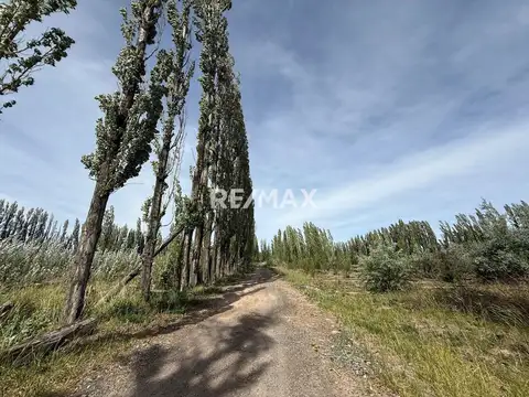 Terreno en Alquiler de 150000,0 m2