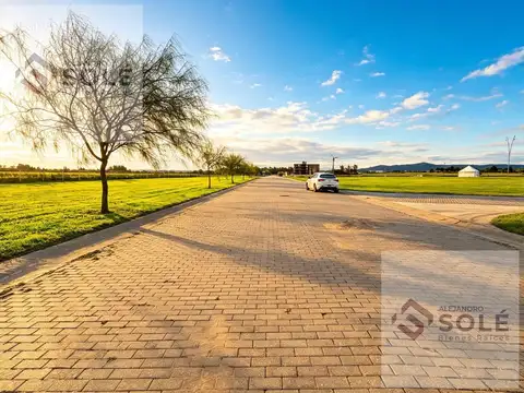 Terreno en Venta 31  mts Fondo