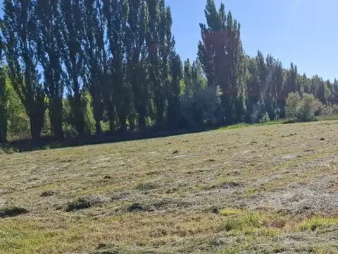 Frentista Ruta Nac 151. Entre Calles Ing Benasser y Mendoza