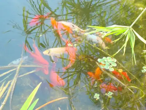 Casa en Alquiler 12 años