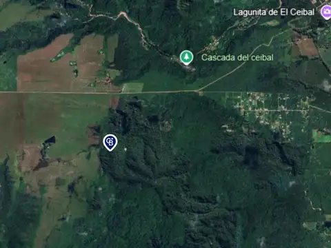 VENTA HECTAREAS EN EL CEIBAL
