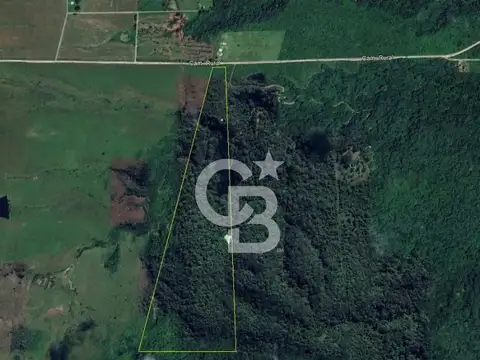 VENTA HECTAREAS EN EL CEIBAL