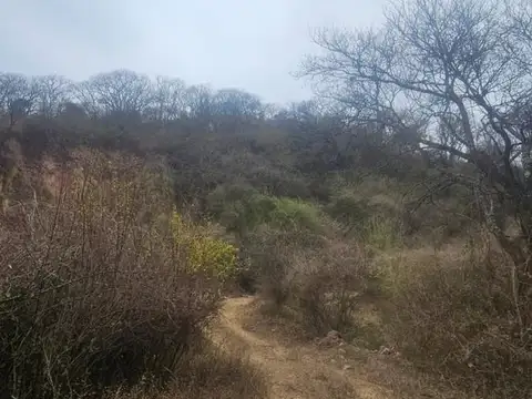 VENTA HECTAREAS EN EL CEIBAL