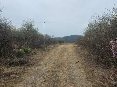 El Ceibal, San Antonio