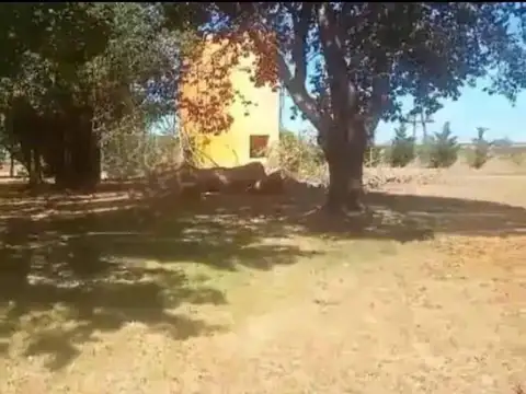 Establecimiento Santa Rita - 930 Hectareas